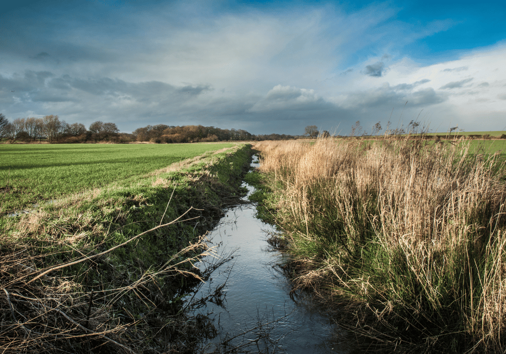 Top 6 Benefits of Ditch Cleaning | Bowden Excavating Inc.